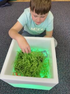 senzoricke.vnimani (2)